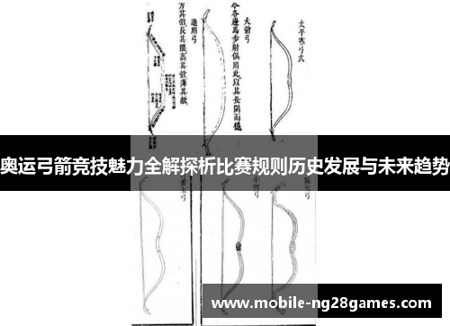 奥运弓箭竞技魅力全解探析比赛规则历史发展与未来趋势