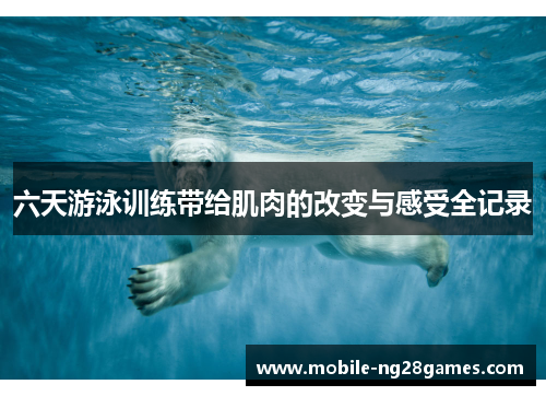 六天游泳训练带给肌肉的改变与感受全记录
