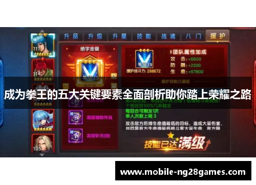 成为拳王的五大关键要素全面剖析助你踏上荣耀之路
