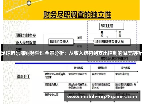 足球俱乐部财务管理全景分析:从收入结构到支出控制的深度剖析 足球俱乐部财务管理全景分析:从收入结构到支出控制的深度剖析