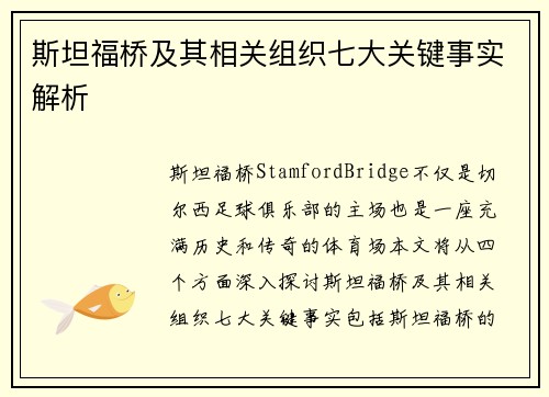 斯坦福桥及其相关组织七大关键事实解析